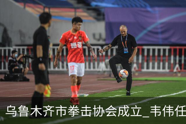乌鲁木齐市拳击协会成立 韦伟任会长